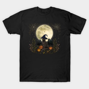 The Black Cat on Halloween Night T-Shirt